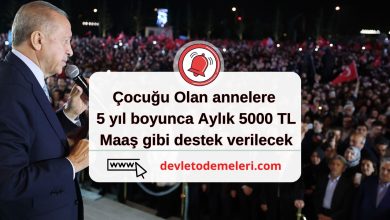 Çocuğu Olan annelere 5 yıl boyunca Aylık 5000 TL Maaş gibi destek verilecek