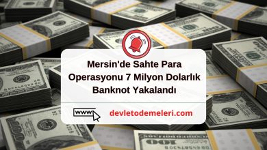 Mersin'de Sahte Para Operasyonu 7 Milyon Dolarlık Banknot Yakalandı