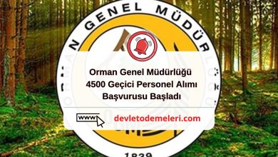 Orman Genel Müdürlüğü 4500 Geçici Personel Alımı Yapacak