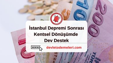 İstanbul Depremi Sonrası Kentsel Dönüşümde Dev Destek: 700 Bin TL Hibe için e-Devlet Başvuruları Başladı!