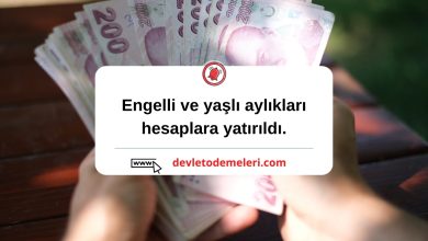Engelli ve yaşlı aylıkları hesaplara yatırıldı. Sosyal yardım destekleri devam ediyor.